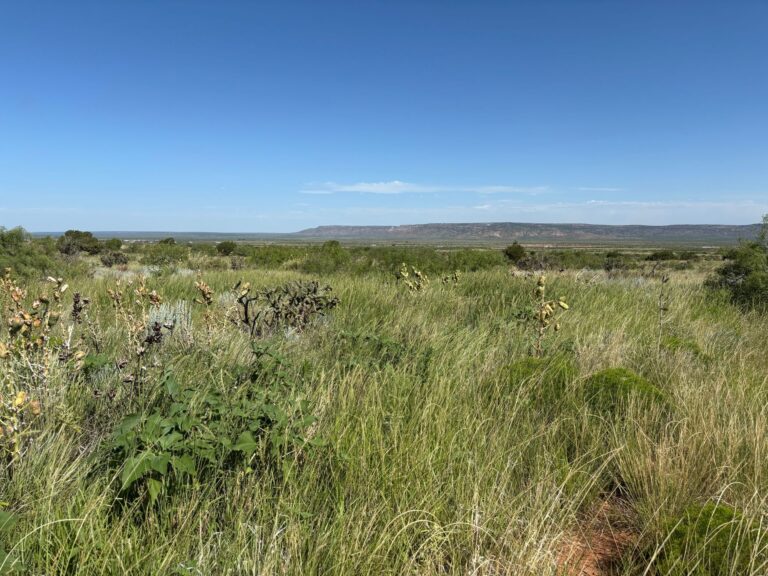 US Route 66 - Michael Gregory Jr